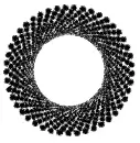 black glitter