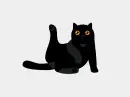 black cat