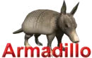 armadillo