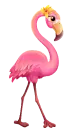 flamingo
