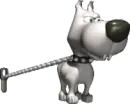 dog
