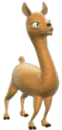 llama
