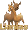 llamas