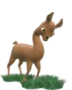 llama eating