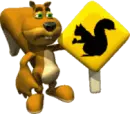 squirrel