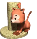 cat moving
