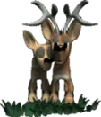deers