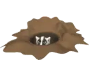 badger