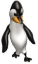 penguin walking