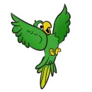 green parrot