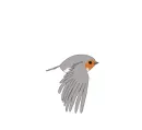 robin