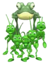 grasshoppers