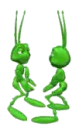grasshoppers