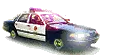 police car