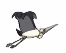 stork