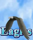 eagle