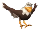 eagle