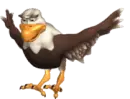 eagle