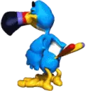 toucan
