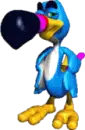 toucan