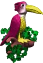 toucan