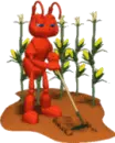 red ant in the garden