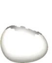 ostrich egg