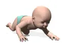 baby