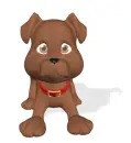 brown dog