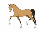 brown horse