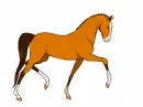 yellow horse