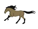 horse running