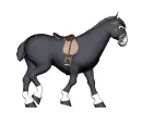 horse