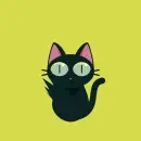 black cat
