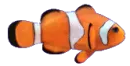 bohÃ³chal