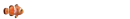 bohÃ³chal