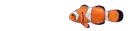 bohÃ³chal