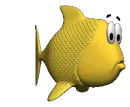 yellow fish