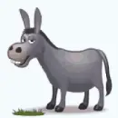 donkey