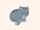 grey cat