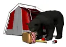 black bear