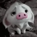 anime sad pig