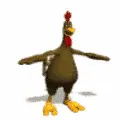 brown bird