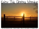 ENJOY THIS GLORIOUS MORNING