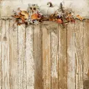 Autumn/Fall ~ Background ~ fg