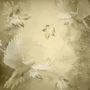Autumn/Fall ~ Background