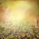 Autumn/Fall ~ Background