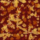 Autumn/Fall ~ Background