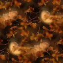 Autumn/Fall ~ Background