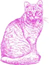 cat
